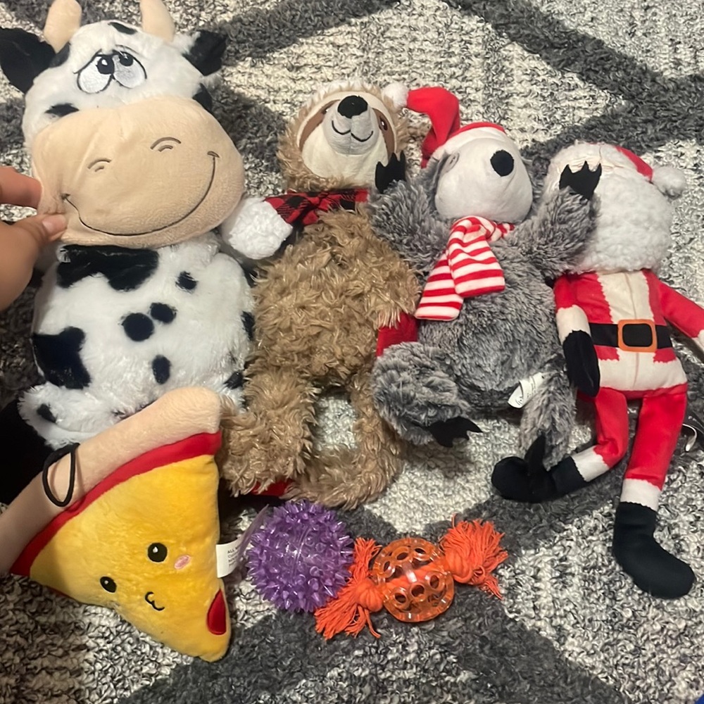 Dog toy pack